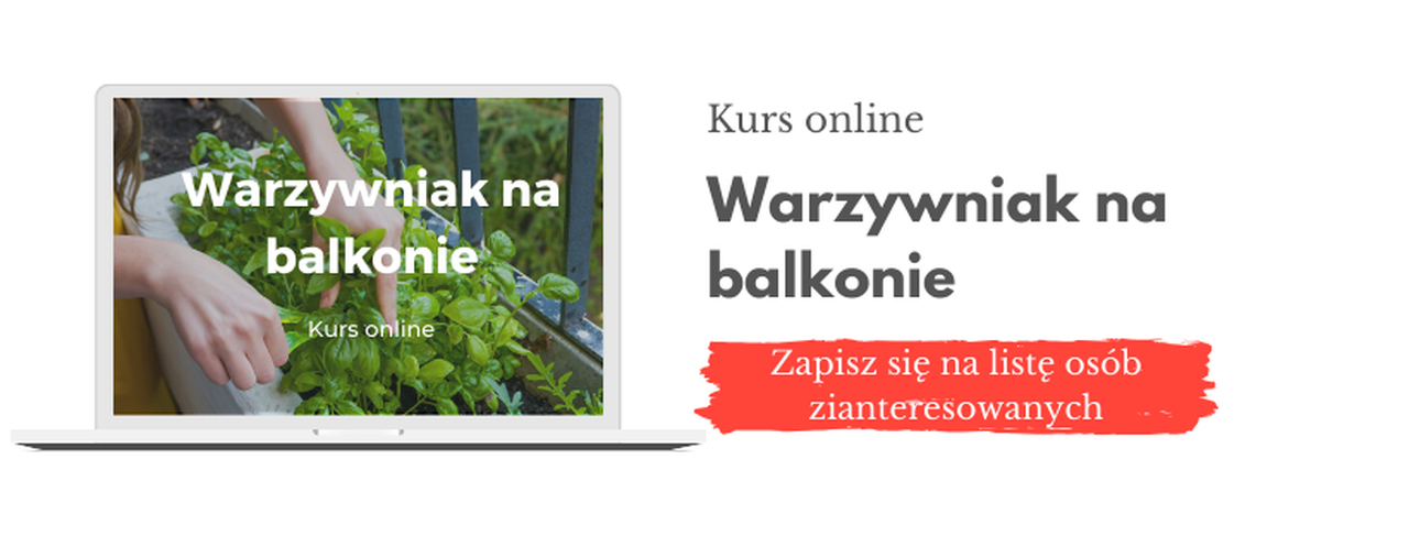 Kurs online “Warzywniak na balkonie”
